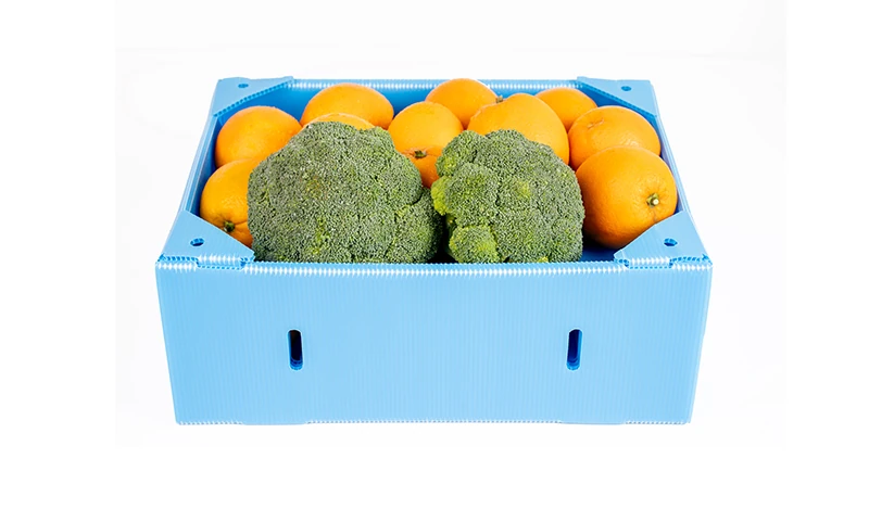 Caixa hortifrúti azul com frutas